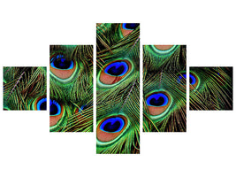 5-piece-canvas-print-peacock-feathers-xxl