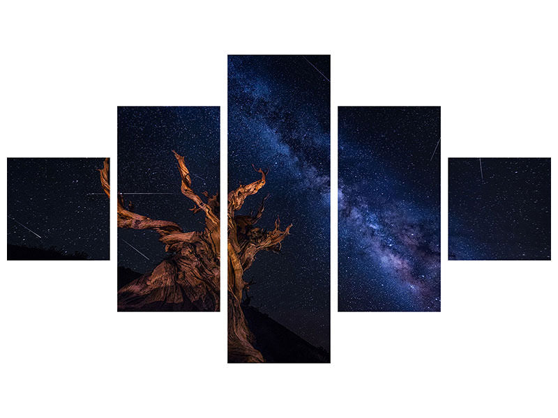 5-piece-canvas-print-shooting-stars-night