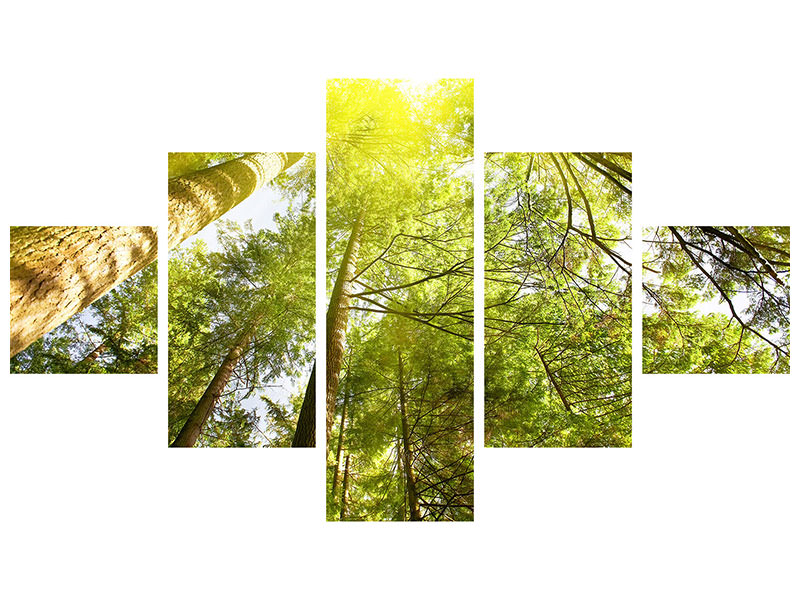 5-piece-canvas-print-treetops-in-the-sun