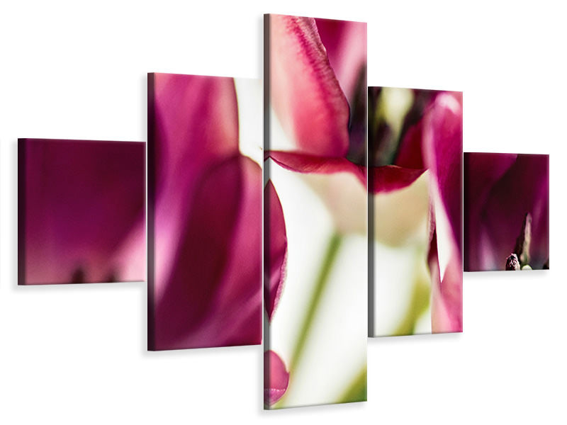 5-piece-canvas-print-tulip-iv