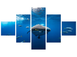 5-piece-canvas-print-whale-shark-escorted-by-a-school-of-bonito
