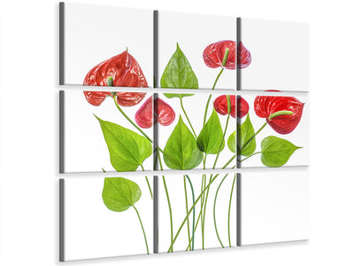 9-piece-canvas-print-anthurium