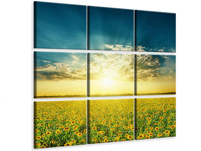 9-piece-canvas-print-sunflowers-in-the-evening-sun