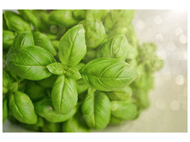 canvas-print-a-bouquet-of-basil