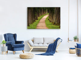 canvas-print-a-path-in-the-forest