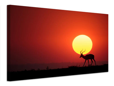 canvas-print-an-african-sunset-x