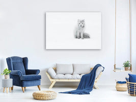 canvas-print-arctic-fox-xjg