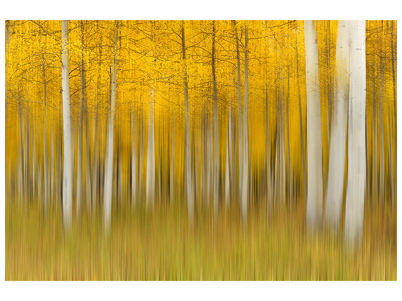 canvas-print-autumn-dream-ii