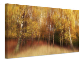 canvas-print-autumn-impression-xvl