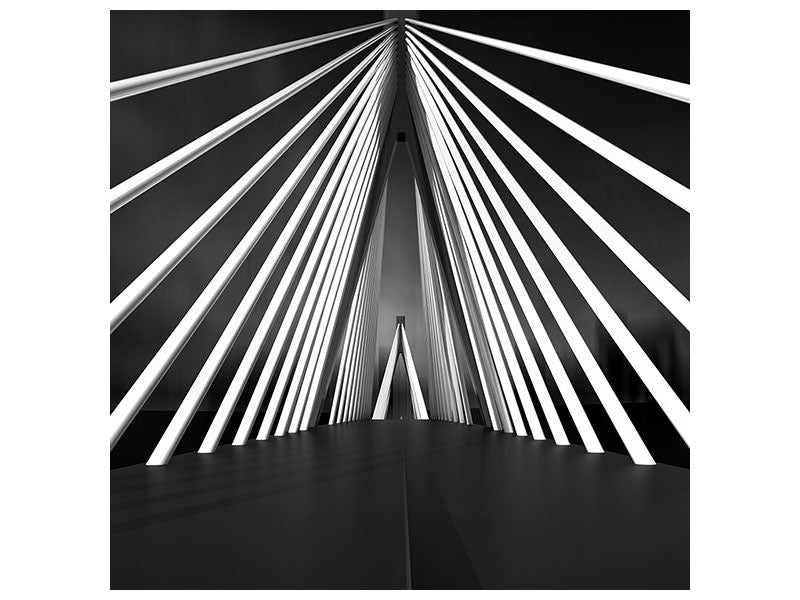 canvas-print-big-string-bridge