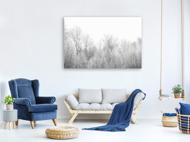 canvas-print-birches-in-the-snow