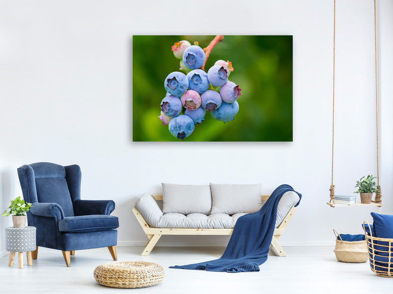 canvas-print-blueberries-in-nature