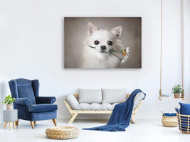 canvas-print-chihuahua-with-flowers-x