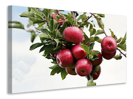 canvas-print-close-up-apple-tree