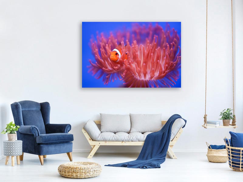 canvas-print-finding-nemo-x