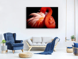 canvas-print-flamingo-xoc