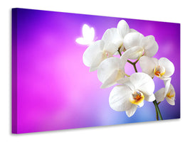 canvas-print-flower-power-orchid