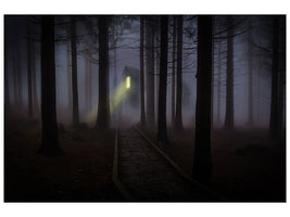 canvas-print-fog-in-the-forest