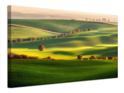 canvas-print-green-fields-x