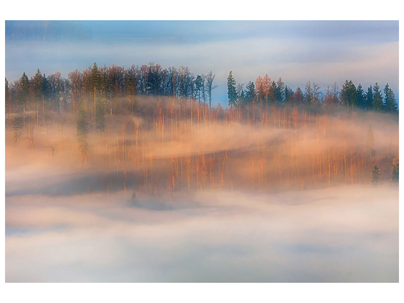 canvas-print-in-the-morning-mists