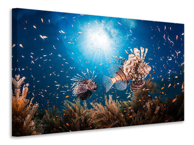 canvas-print-lionfish-ii