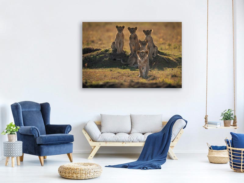 canvas-print-lonely-cubs-x