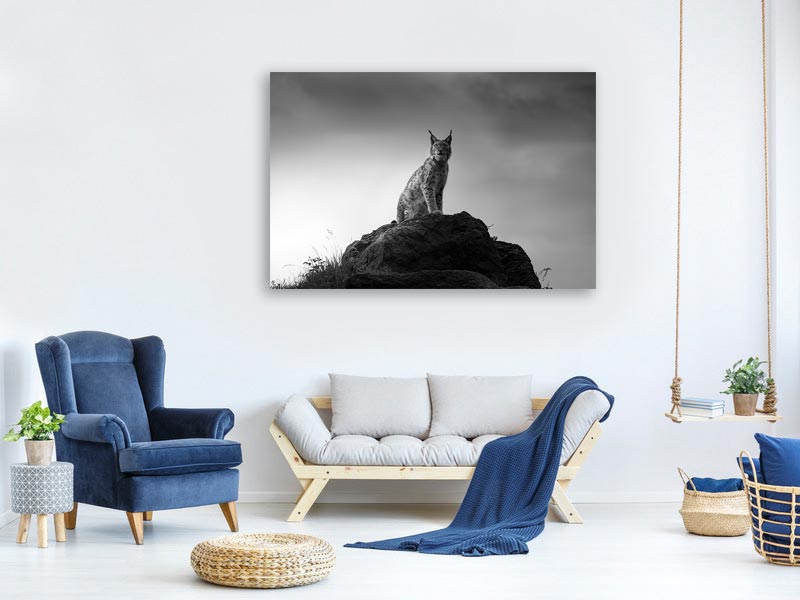 canvas-print-lynx-drama-x