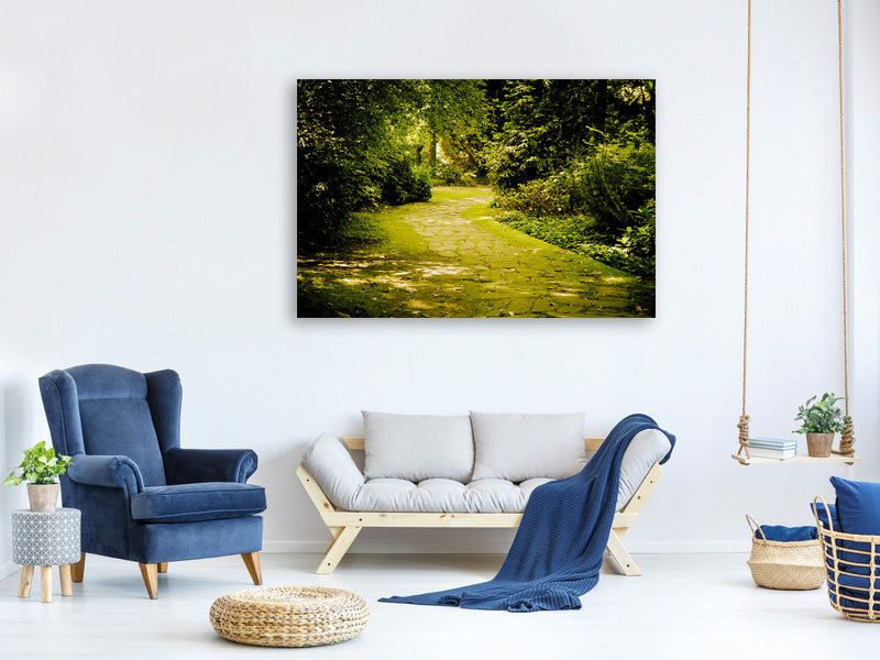 canvas-print-moss-covered-path