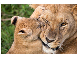 canvas-print-mother-love