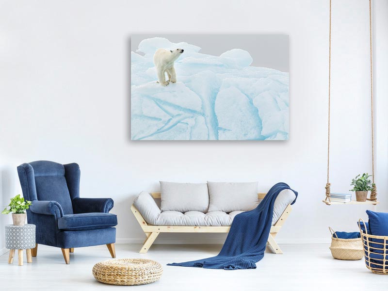 canvas-print-polar-bear-on-iceberg-x