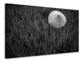 canvas-print-rice-fields-in-bw