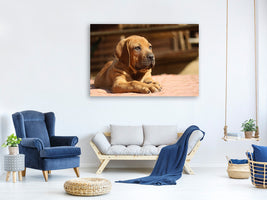 canvas-print-sad-dog-look