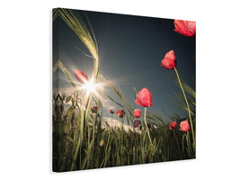canvas-print-summer-is-here-x