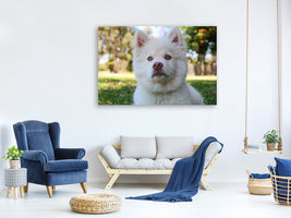 canvas-print-sweet-dog-snout