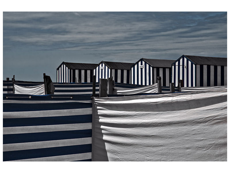 canvas-print-territorial-behavior