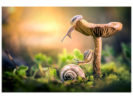 canvas-print-the-awakening-of-snails