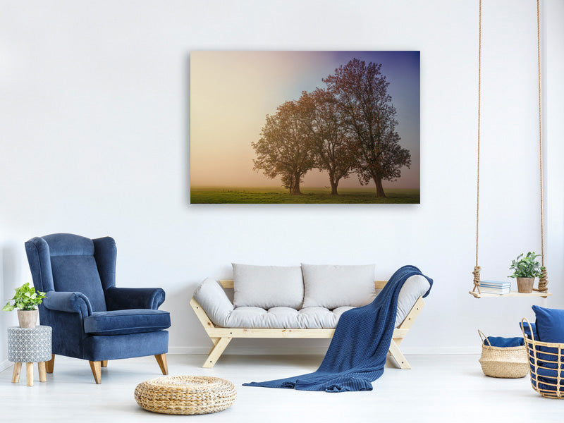 canvas-print-the-crooked-tree