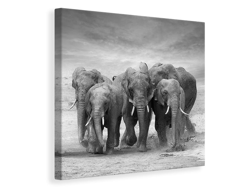 canvas-print-the-elephants