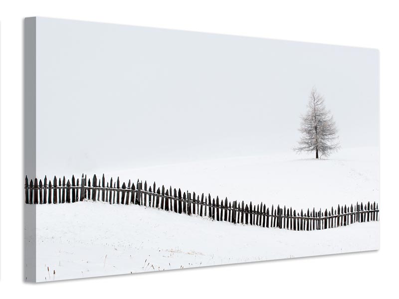 canvas-print-the-larch-behind-the-fence-x