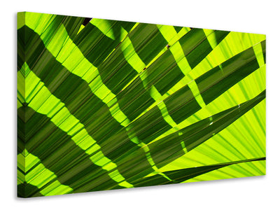 canvas-print-the-palm-leaf-in-xl