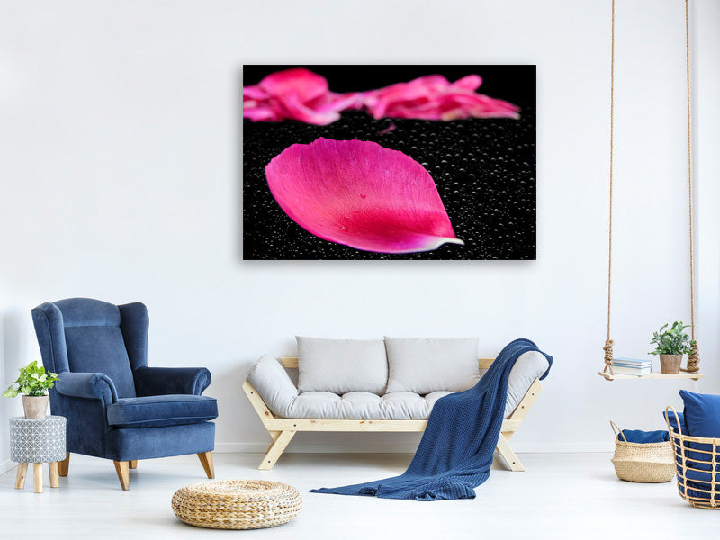 canvas-print-the-petals