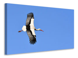 canvas-print-the-stork-in-action