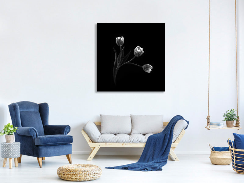 canvas-print-trio