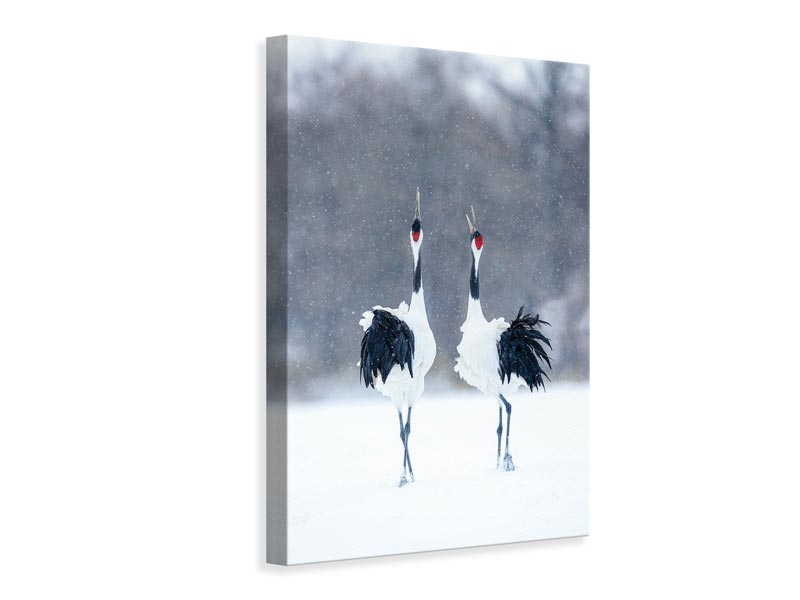 canvas-print-tsuru-crane-pair-x