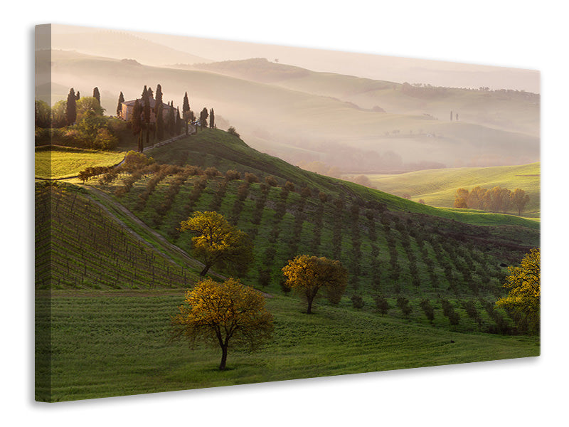 canvas-print-tutte-le-strade-portano-a-belvedere