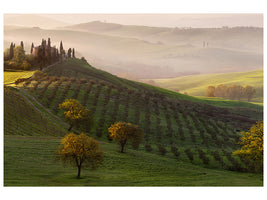 canvas-print-tutte-le-strade-portano-a-belvedere