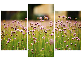 modern-3-piece-canvas-print-a-meadow-full-of-flowers