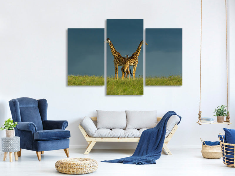 modern-3-piece-canvas-print-between-the-two