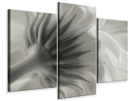 modern-3-piece-canvas-print-calendula