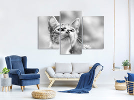 modern-3-piece-canvas-print-curious